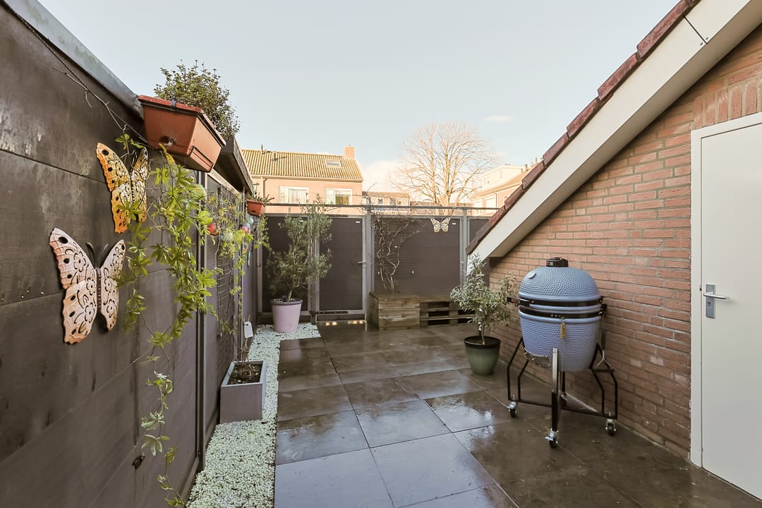 Photo 43 of Jan Switzerpad 6