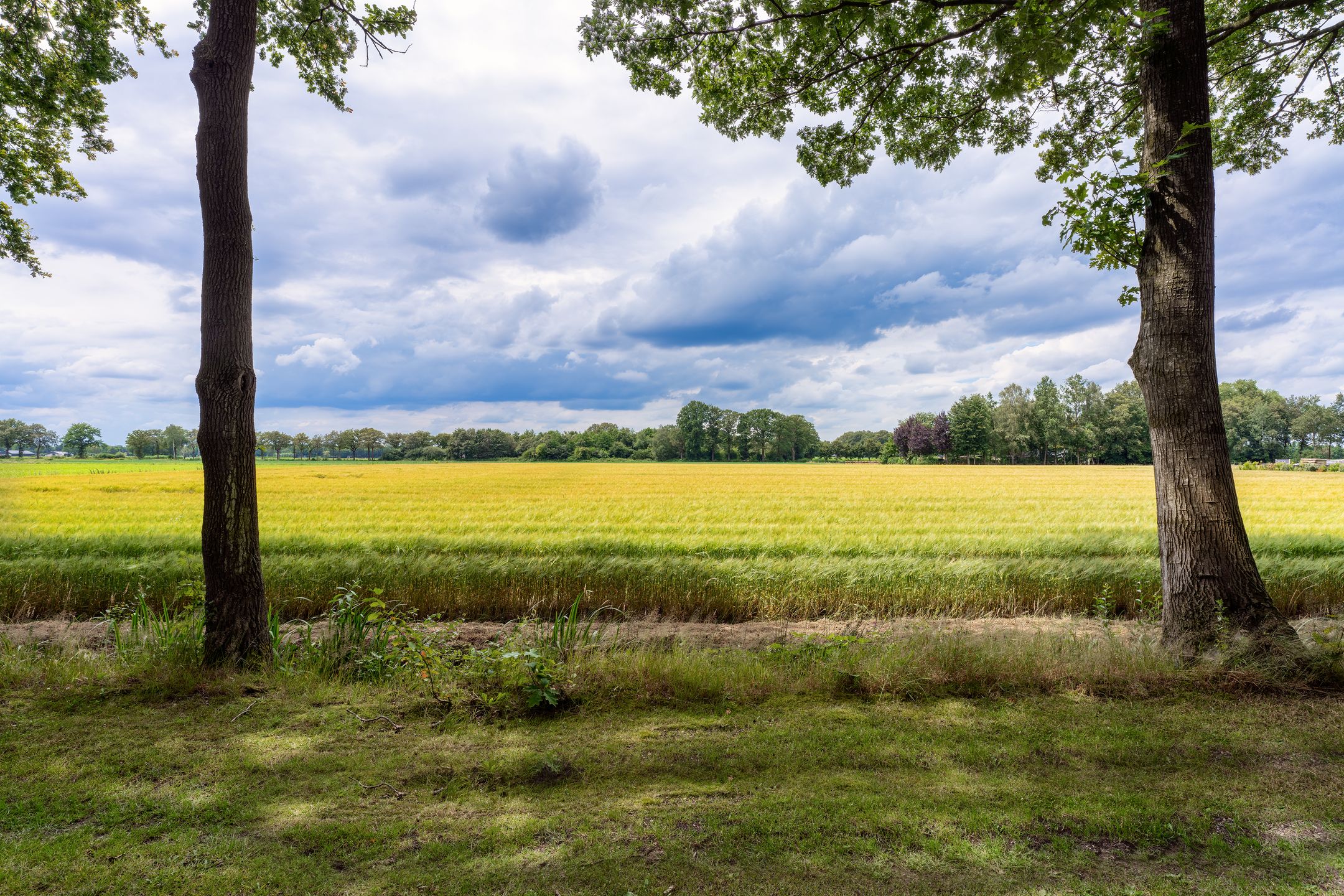 Photo 18 of Kaathoven 3