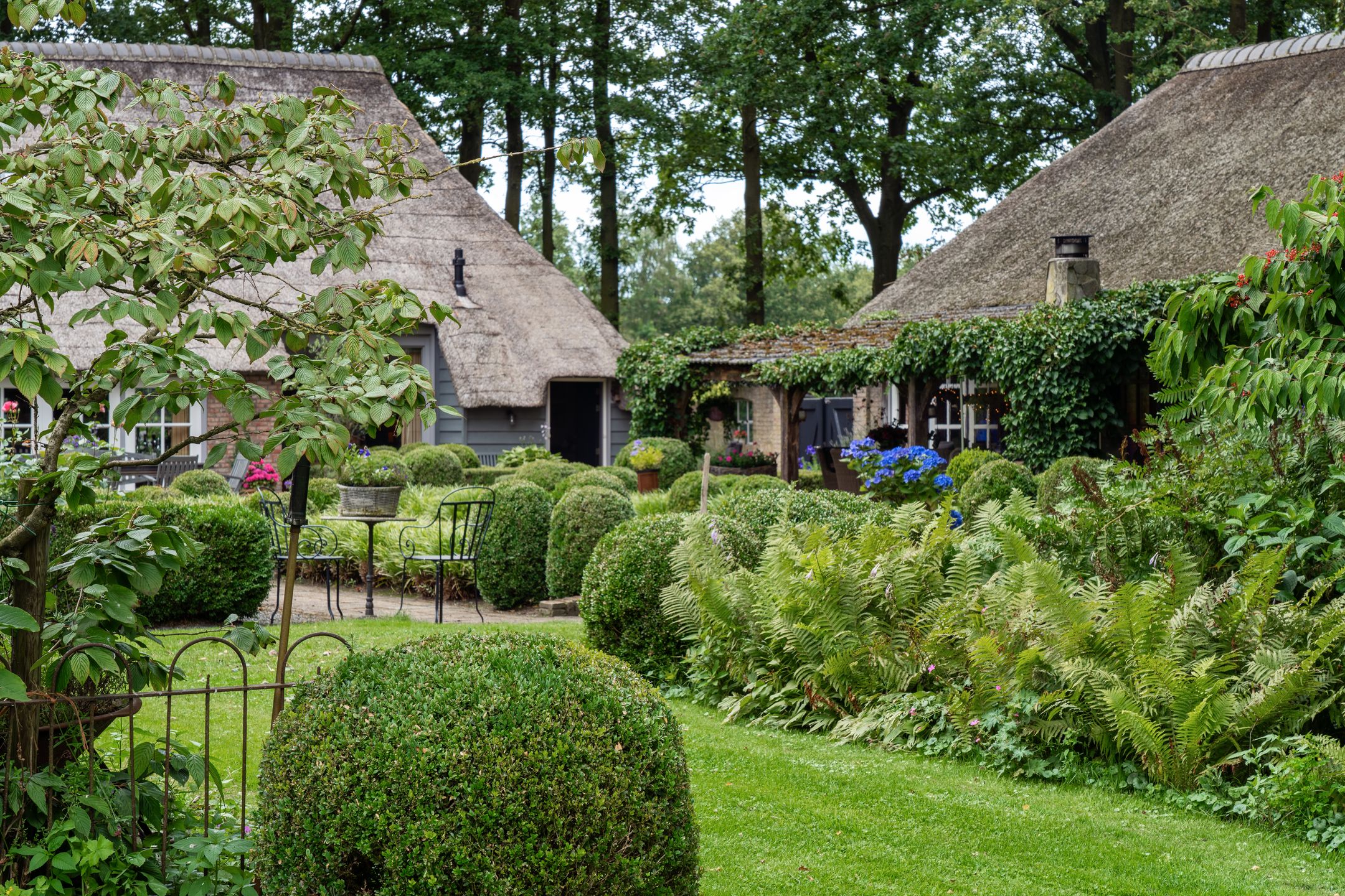 Photo 51 of Kaathoven 3