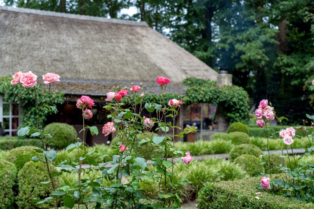 Photo 52 of Kaathoven 3