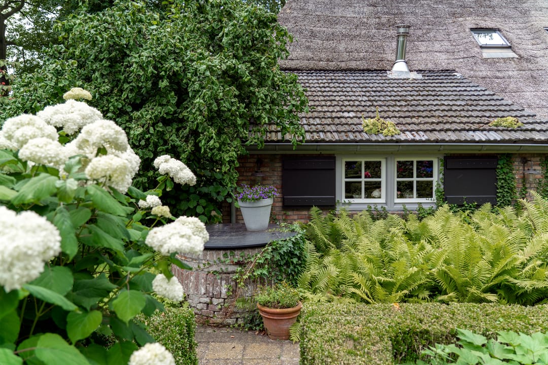 Photo 56 of Kaathoven 3