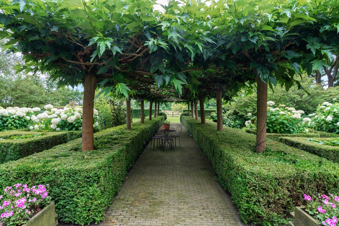 Photo 58 of Kaathoven 3