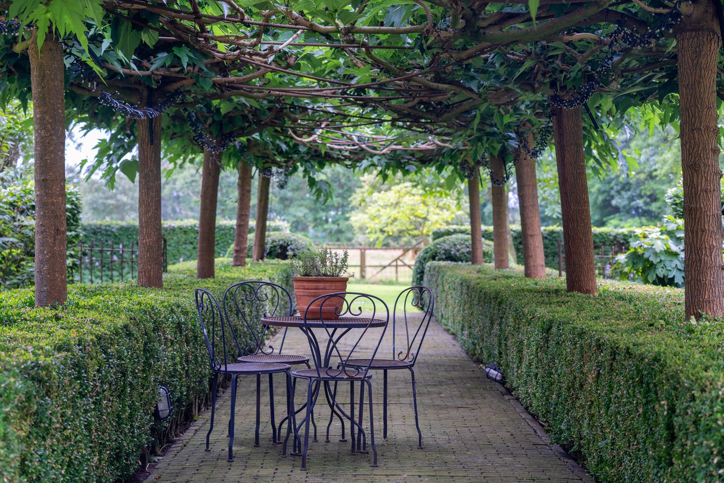 Photo 59 of Kaathoven 3