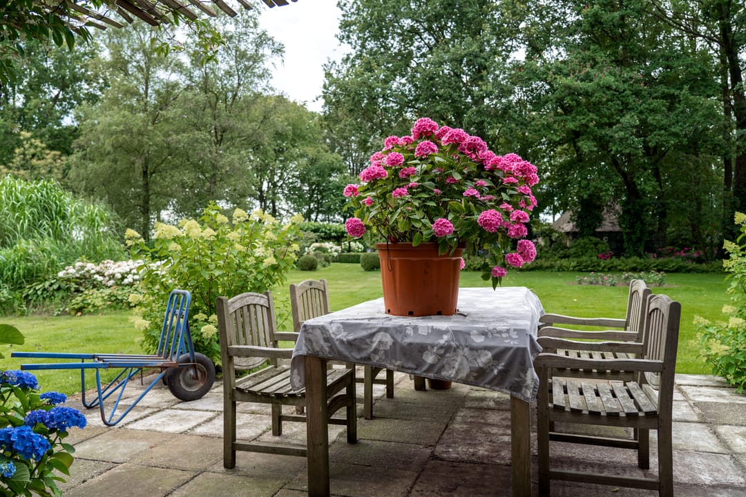 Photo 77 of Kaathoven 3