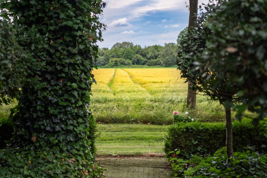 Photo 86 of Kaathoven 3