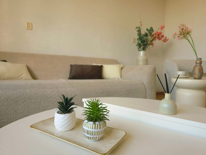 Photo 3 of Tjalk 41 60