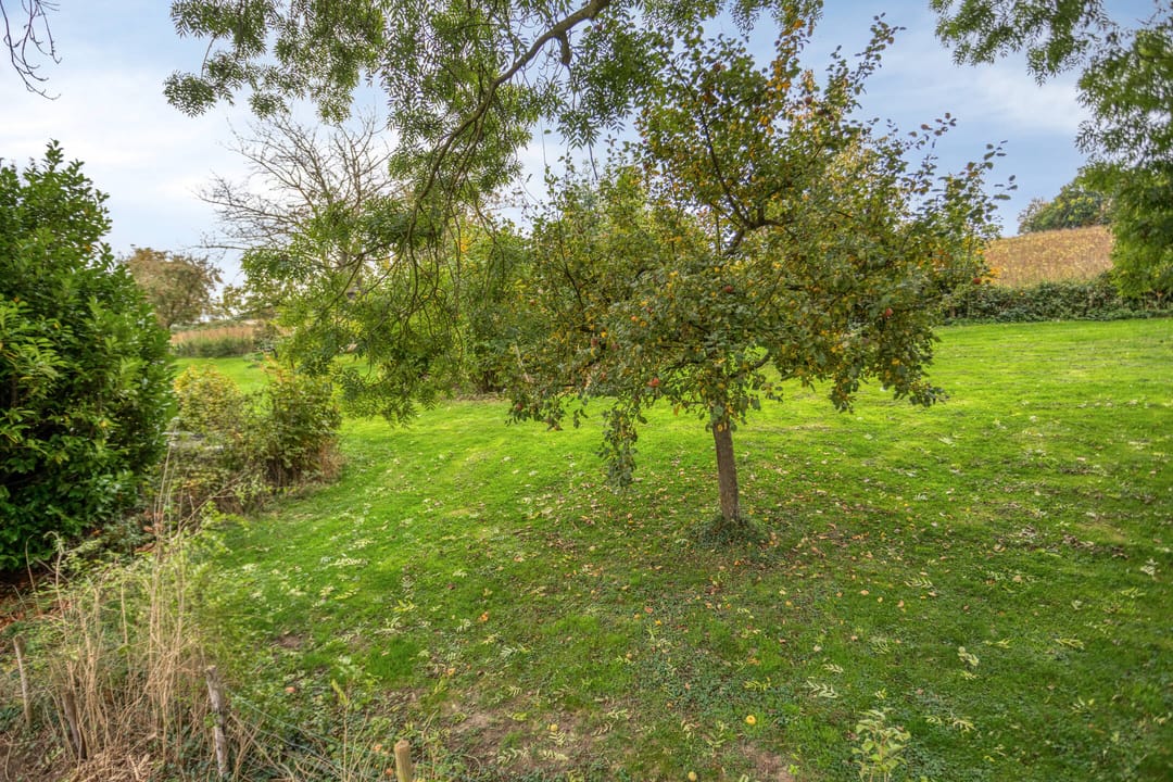 Photo 47 of Vroenhovenweg 150