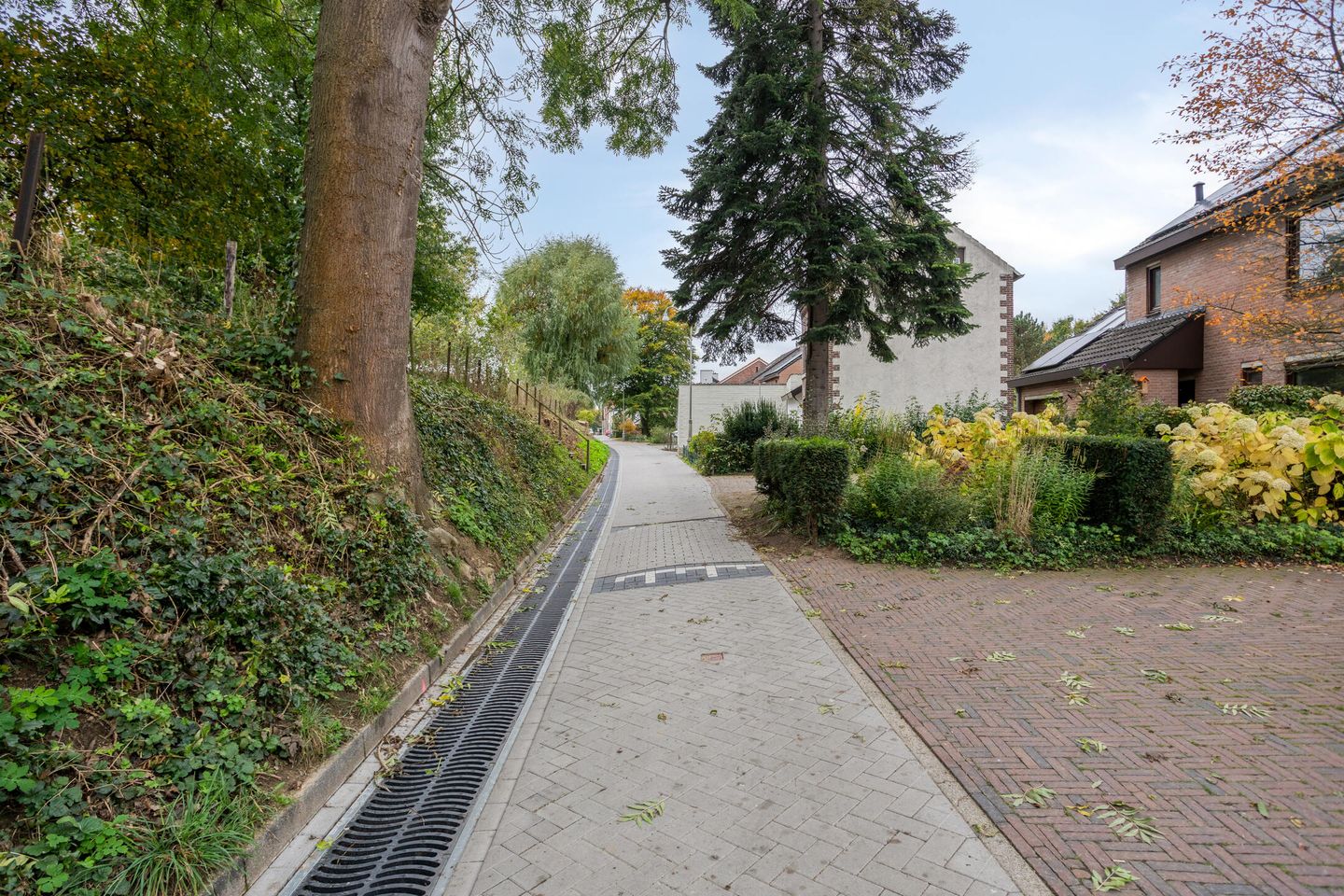 Photo 49 of Vroenhovenweg 150