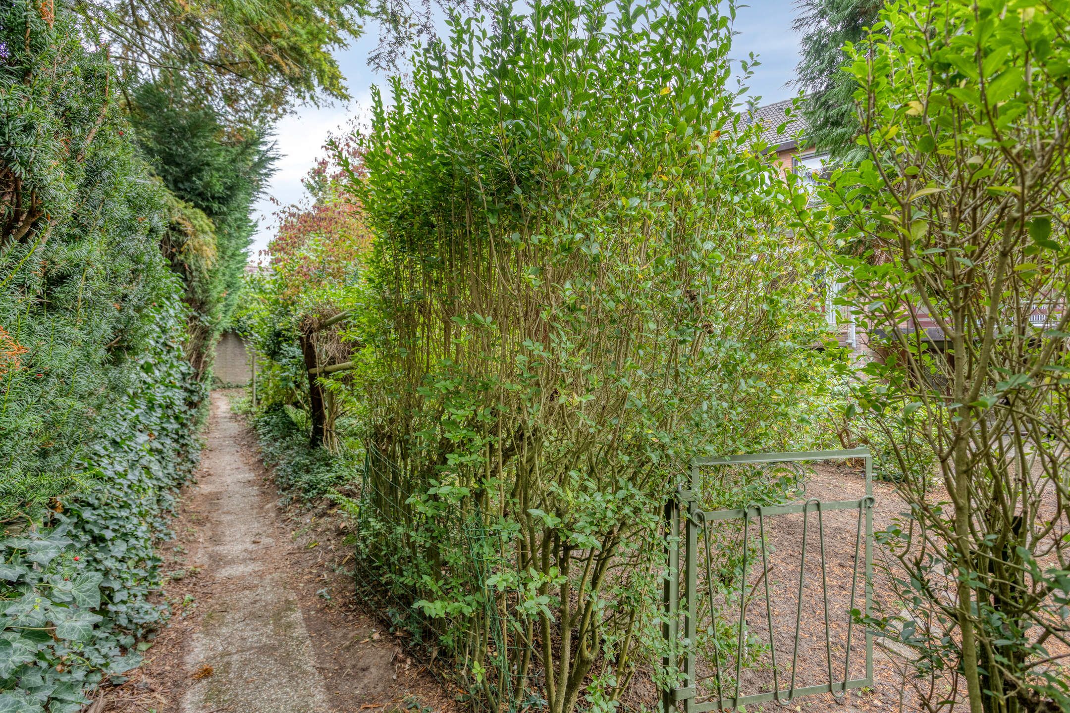 Photo 45 of Vroenhovenweg 150