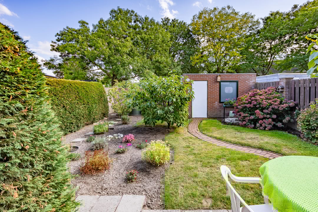 Foto 2 van Aronskelk 37