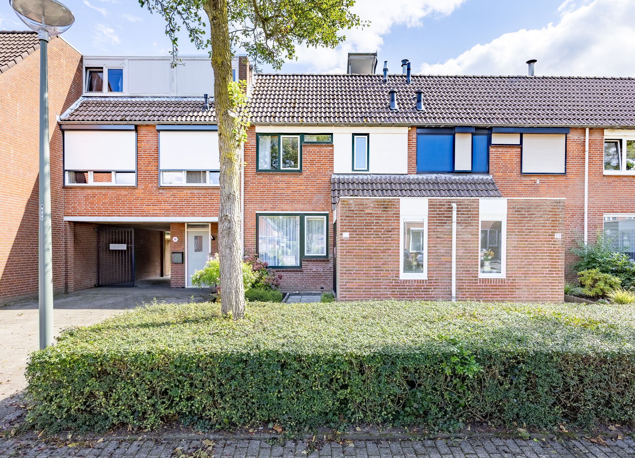 Foto 6 van Aronskelk 37