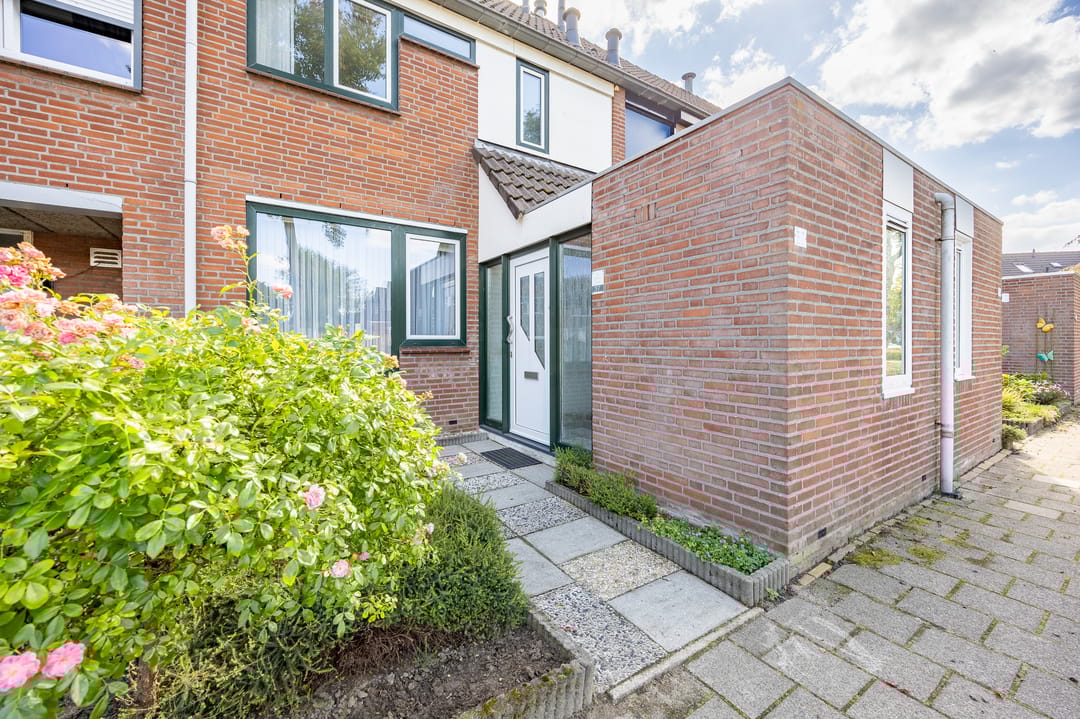 Foto 7 van Aronskelk 37