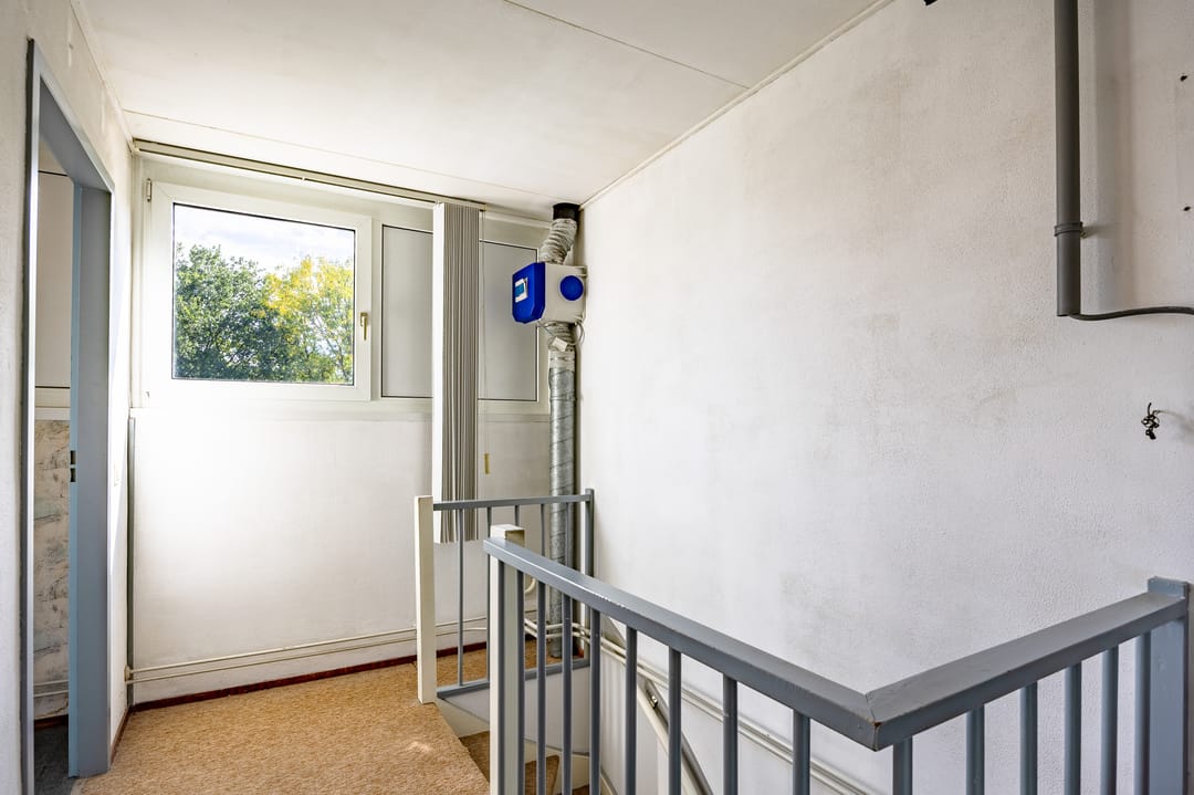 Foto 28 van Aronskelk 37