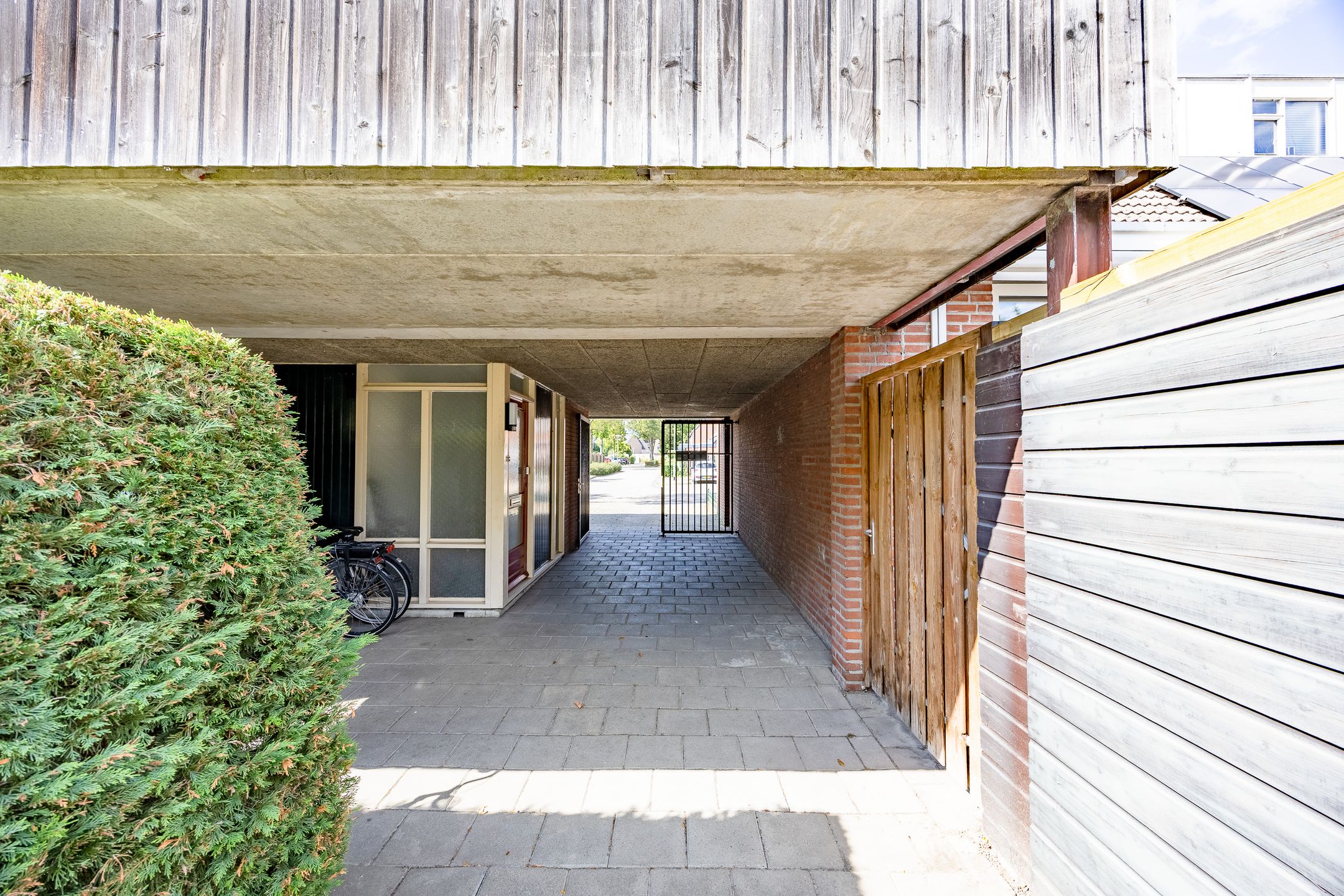 Foto 36 van Aronskelk 37