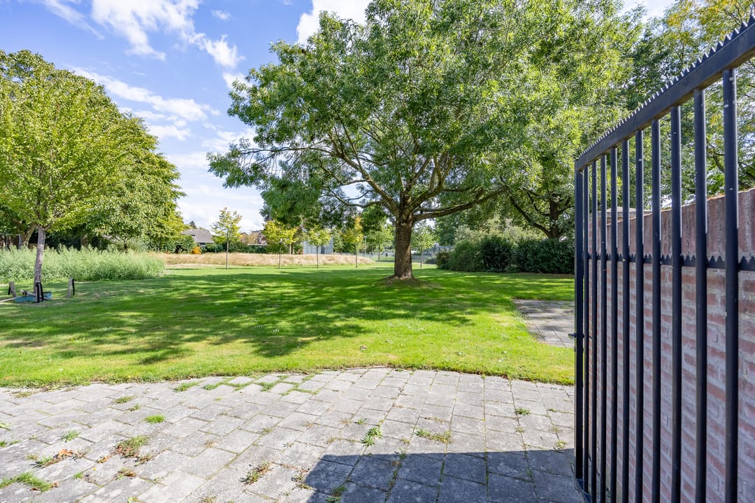 Foto 37 van Aronskelk 37