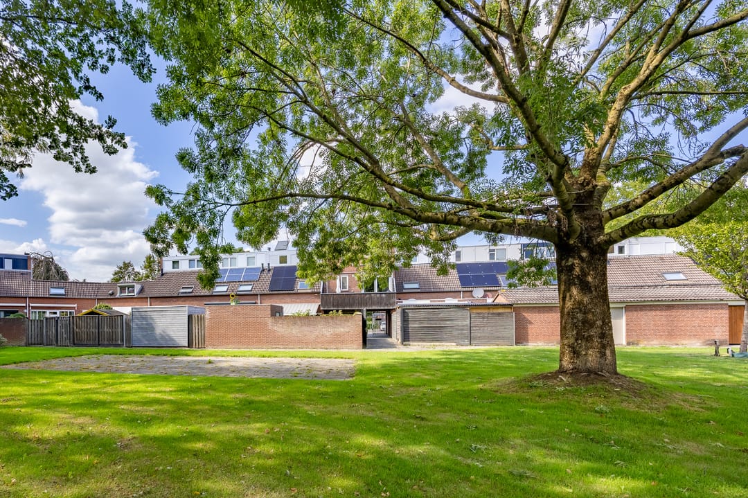 Foto 38 van Aronskelk 37