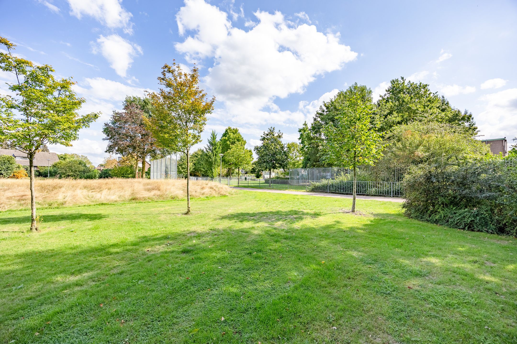 Foto 39 van Aronskelk 37