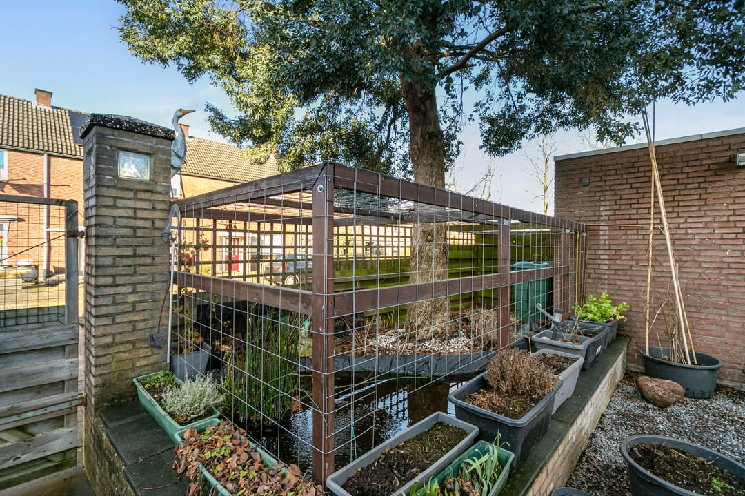 Foto 37 van Abdisstraat 83