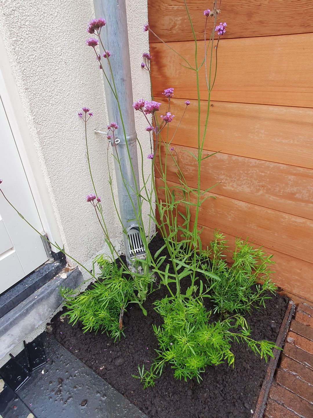 Foto 26 van Eerste Jan van der Heijdenstraat 45-E