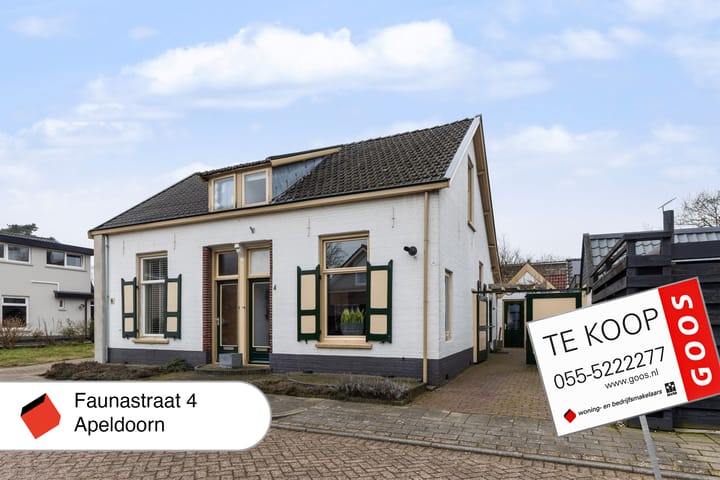 Foto 50 van Faunastraat 4