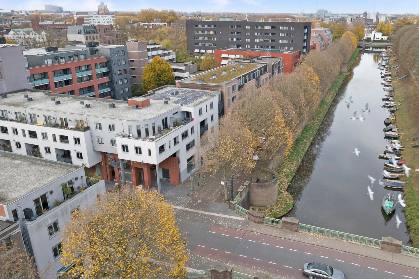 Photo 1 of van Berckelstraat 50