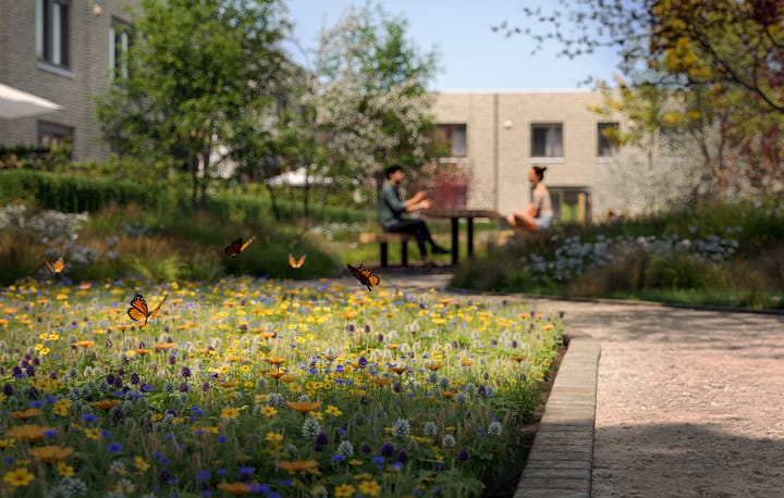 Foto 10 van ZUIJD Blok 2 Pijnacker