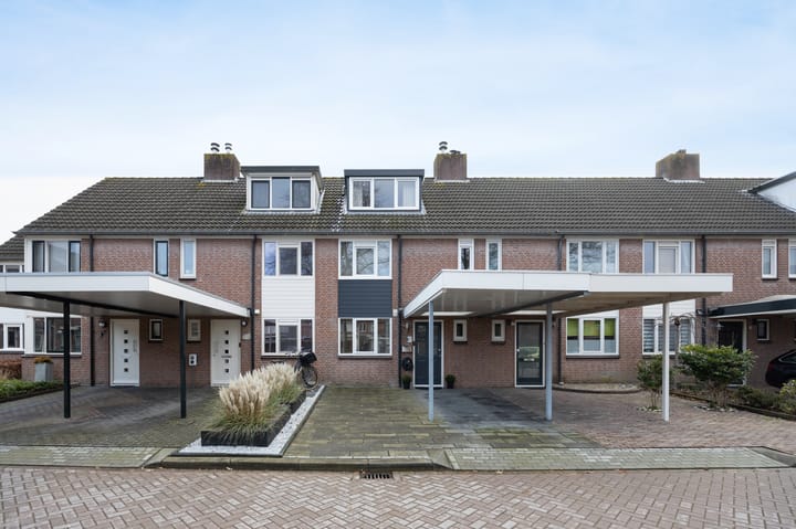 Foto 5 van Meerkoet 25