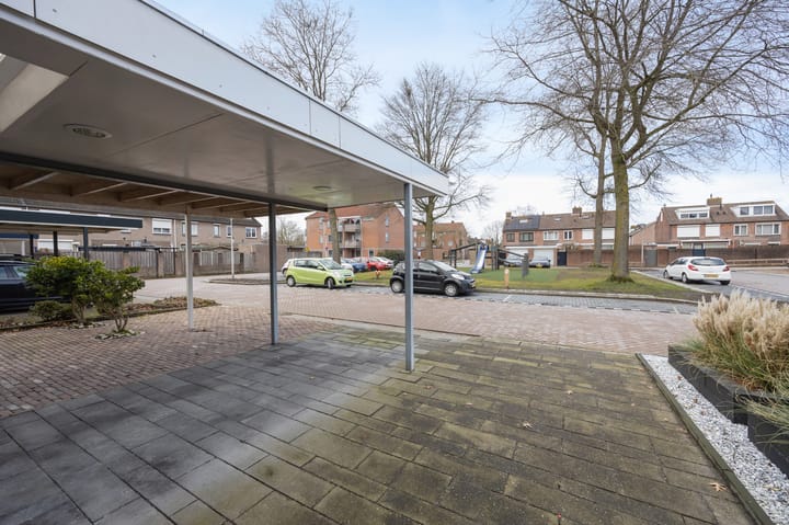 Foto 45 van Meerkoet 25