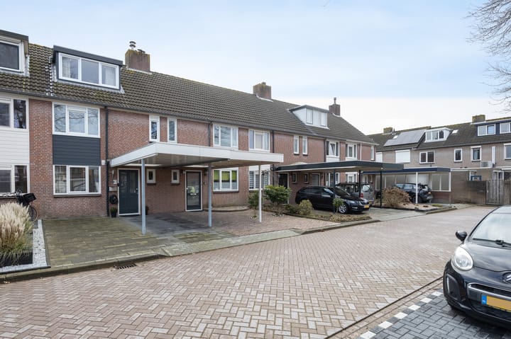 Foto 44 van Meerkoet 25