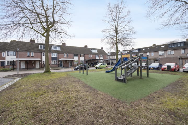 Foto 46 van Meerkoet 25