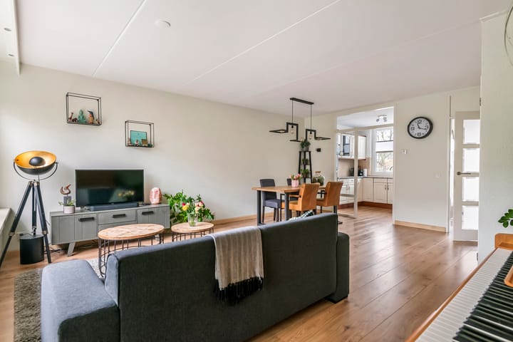 Foto 2 van Duizendblad 22