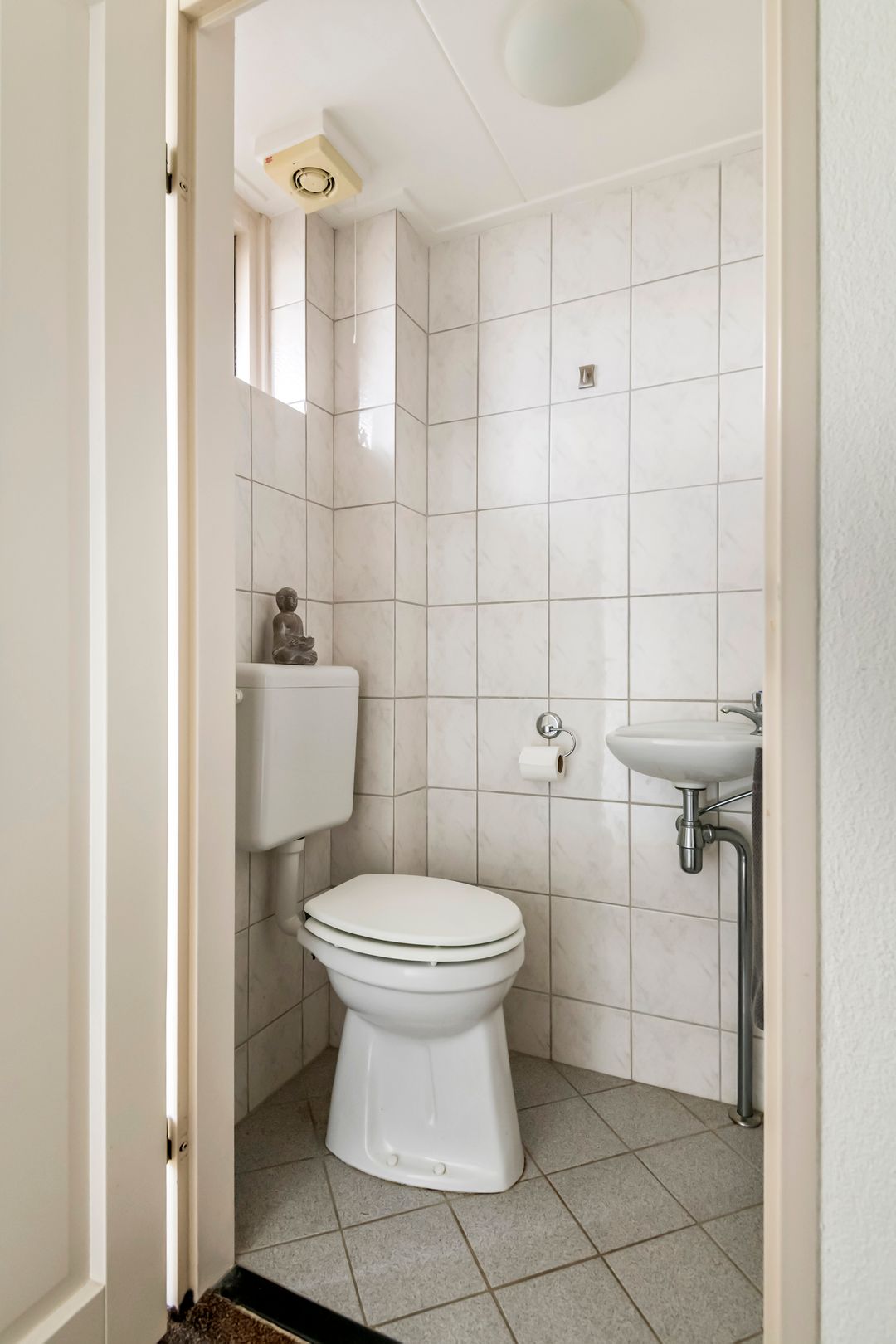 Foto 22 van Duizendblad 22