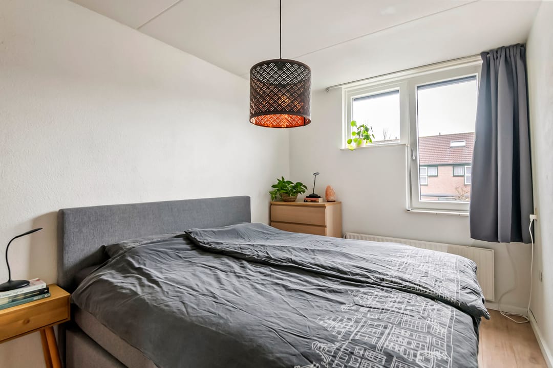 Foto 26 van Duizendblad 22