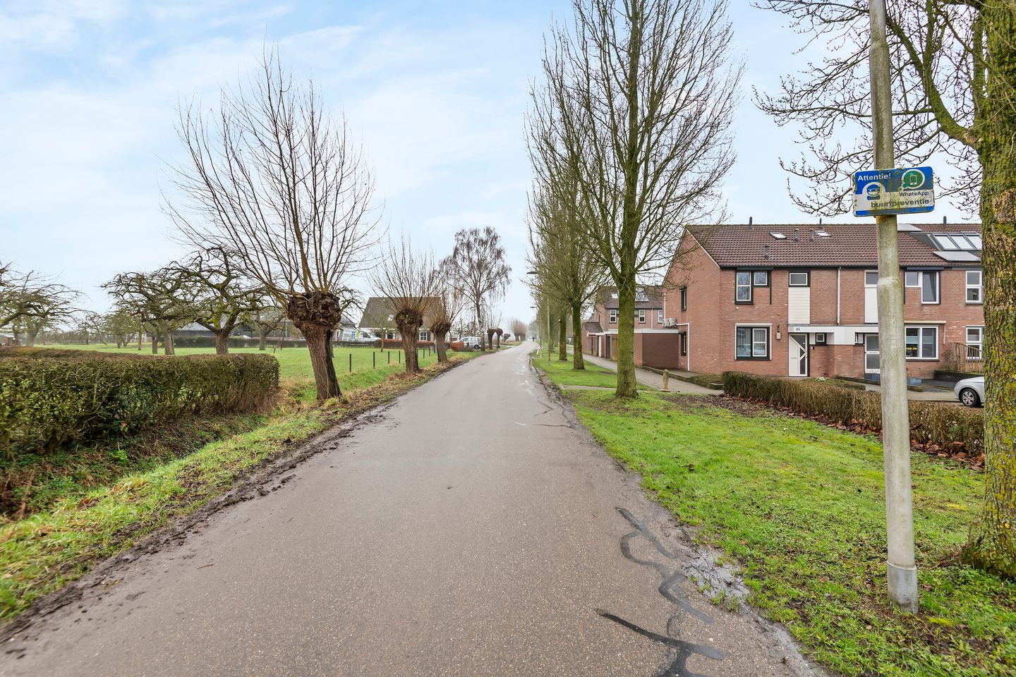 Foto 40 van Duizendblad 22