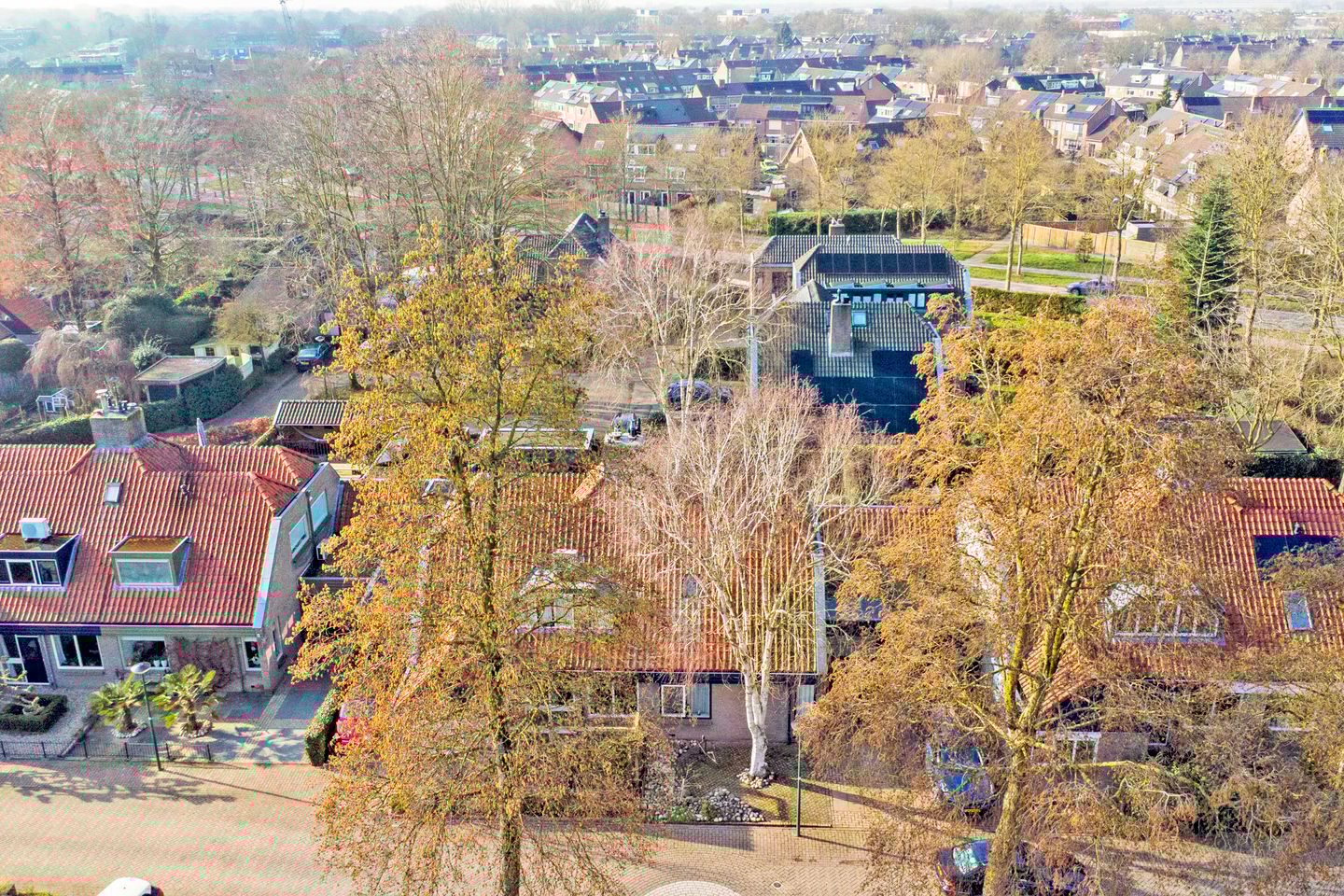 Foto 34 van Nachtegaal 6