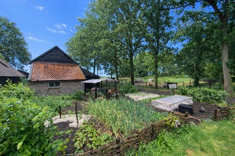 Midden 129 tertiary image