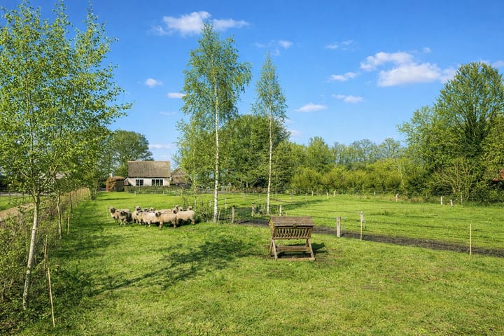 Foto 4 van Midden 129