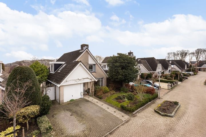 Foto 1 van Goudvink 21