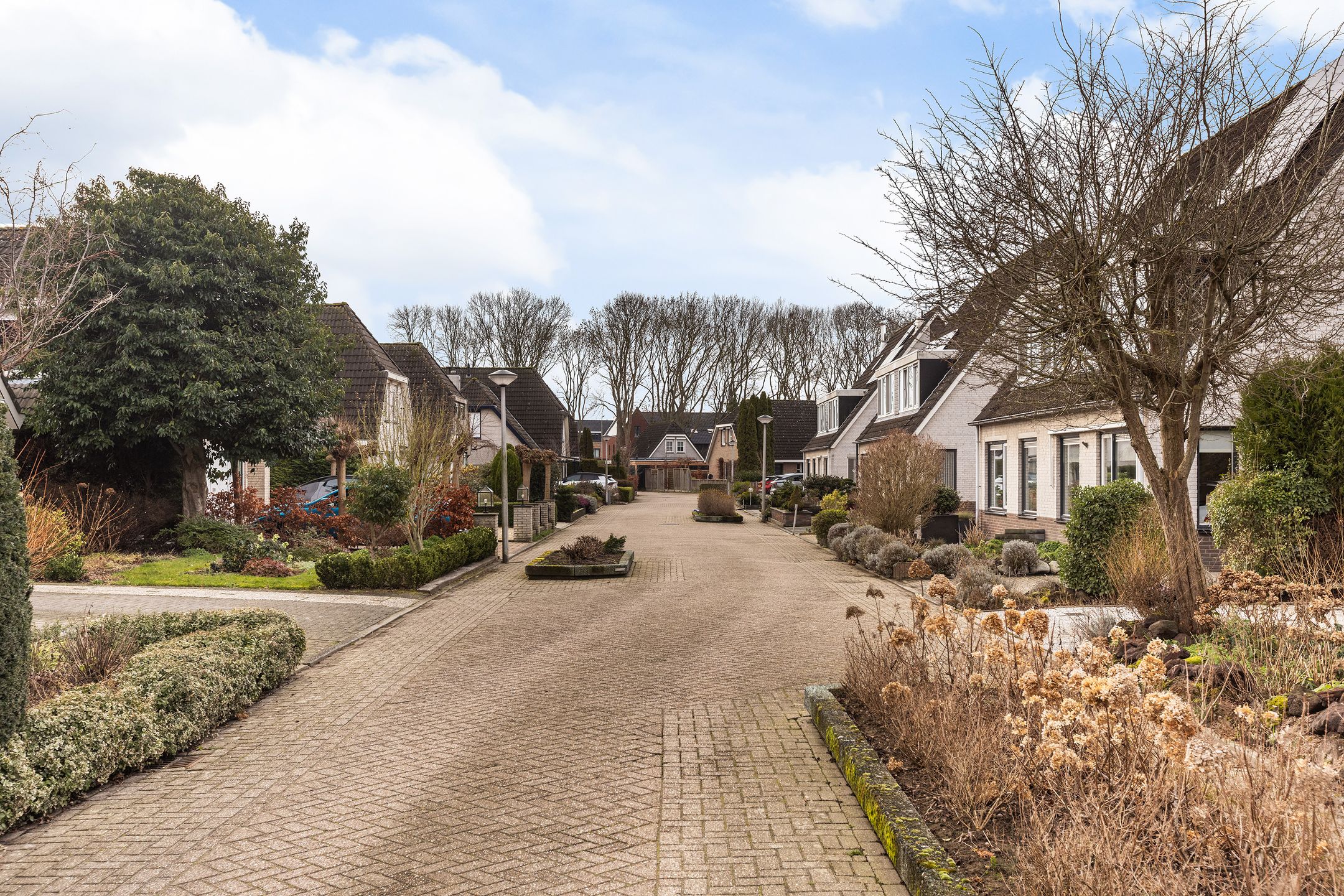 Foto 3 van Goudvink 21