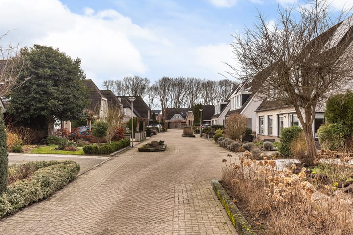 Foto 3 van Goudvink 21