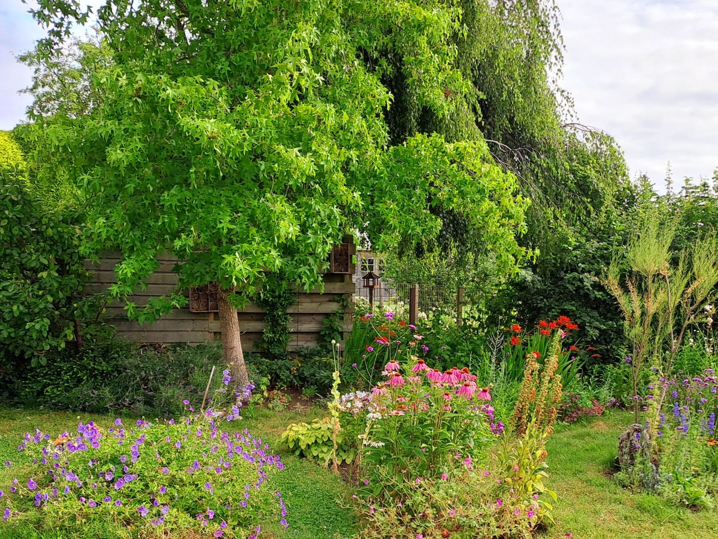 Foto 44 van Goudvink 21