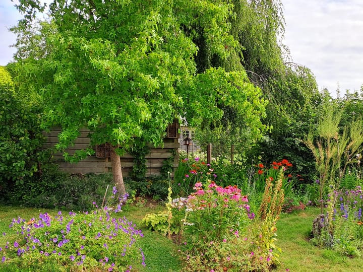 Foto 44 van Goudvink 21