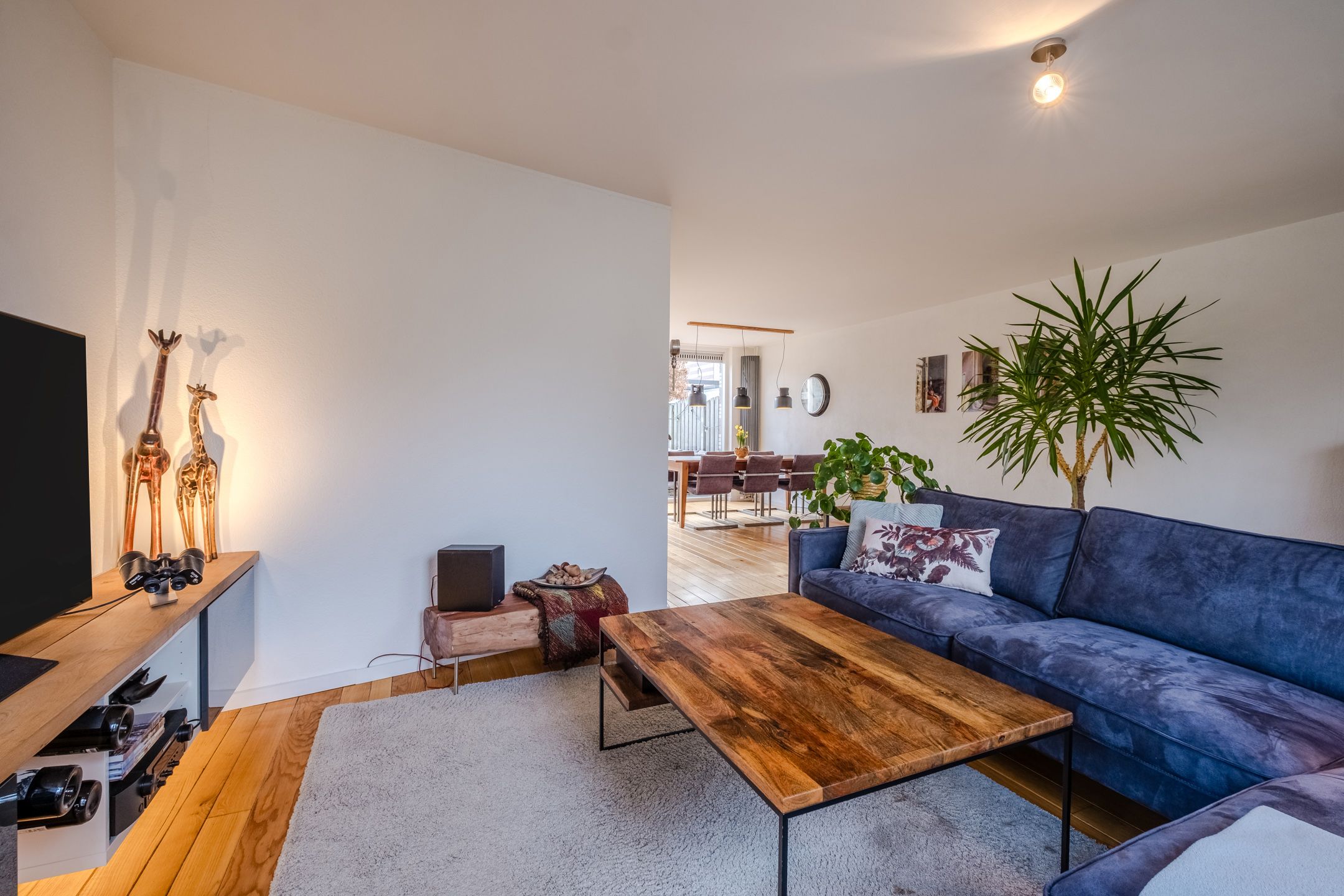 Foto 9 van den Draal 9