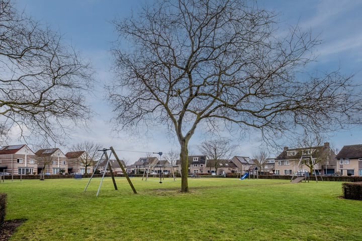 Photo 40 of den Draal 9