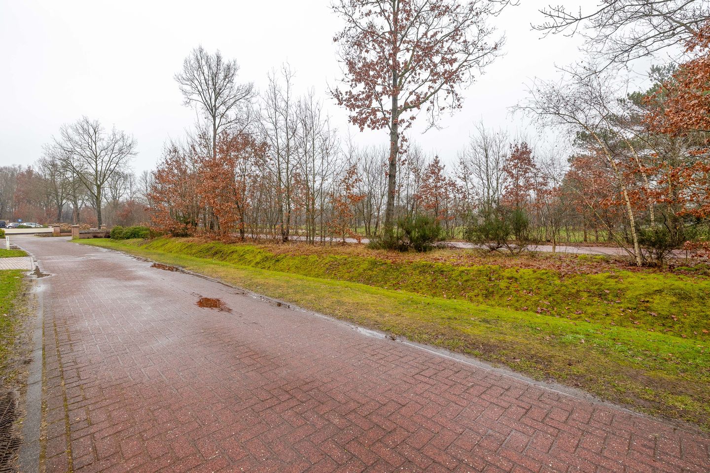 Foto 44 van Kolonieweg 9