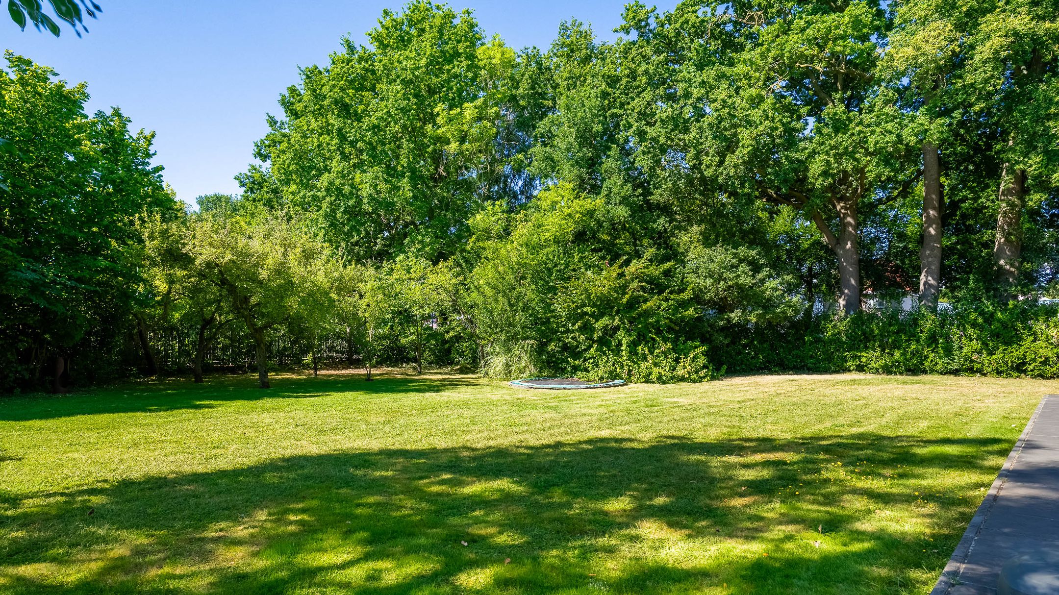 Foto 39 van Bornerbroeksestraat 366