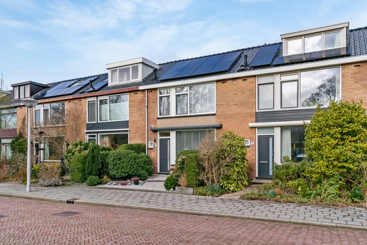 Photo 44 of Anna Pawlowastraat 34