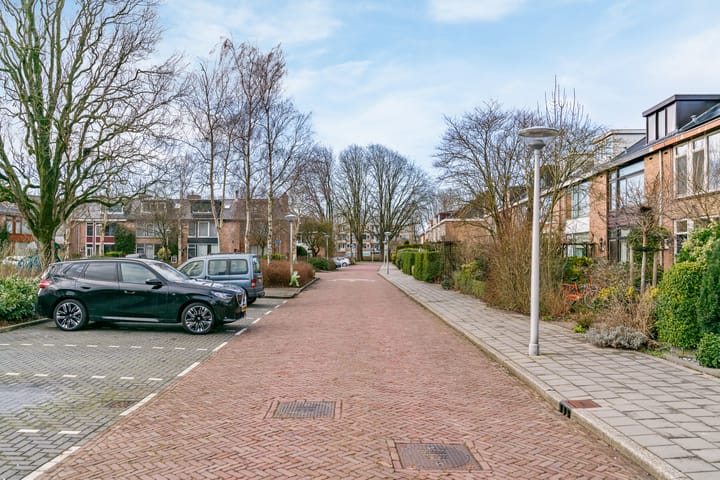 Photo 45 of Anna Pawlowastraat 34