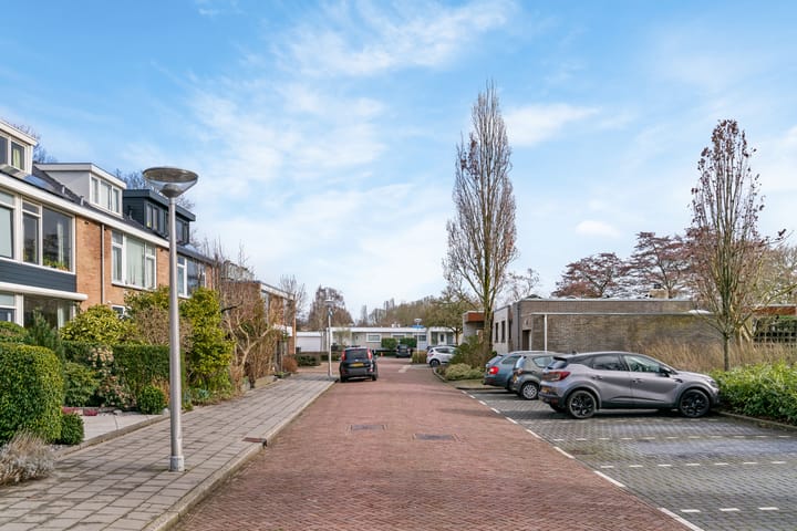 Photo 46 of Anna Pawlowastraat 34