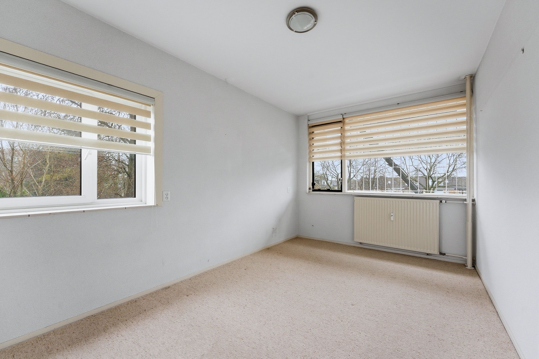 Foto 18 van Kloosplantsoen 651